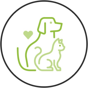 Pet Health